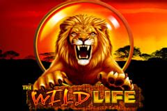 pokies 24|Online Pokies – Play the Best Selection of Pokies for .